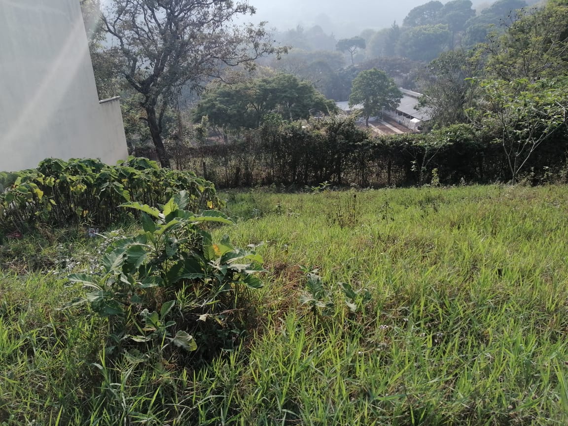 Venta de Casa o Casas, Terrenos, Propiedades, Apartamentos, Inmuebles en Guatemala, zona 11, zona 7, zona 2, zona 18, zona 16, Mixco, Carretera Al Salvador, Fraijanes, Santa Catarina Pinula, Antigua Guatemala, Villa Nueva, Villa Canales, San Miguel Petapa - Venta o Alquiler de Casas En Guatemala