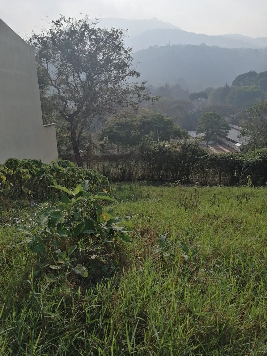 Venta de Casa o Casas, Terrenos, Propiedades, Apartamentos, Inmuebles en Guatemala, zona 11, zona 7, zona 2, zona 18, zona 16, Mixco, Carretera Al Salvador, Fraijanes, Santa Catarina Pinula, Antigua Guatemala, Villa Nueva, Villa Canales, San Miguel Petapa - Venta o Alquiler de Casas En Guatemala