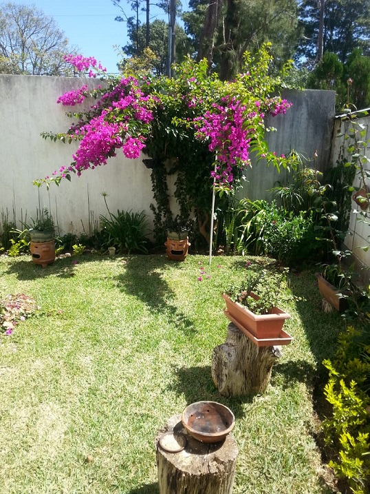 Venta de Casa o Casas, Terrenos, Propiedades, Apartamentos, Inmuebles en Guatemala, zona 11, zona 7, zona 2, zona 18, zona 16, Mixco, Carretera Al Salvador, Fraijanes, Santa Catarina Pinula, Antigua Guatemala, Villa Nueva, Villa Canales, San Miguel Petapa - Venta o Alquiler de Casas En Guatemala