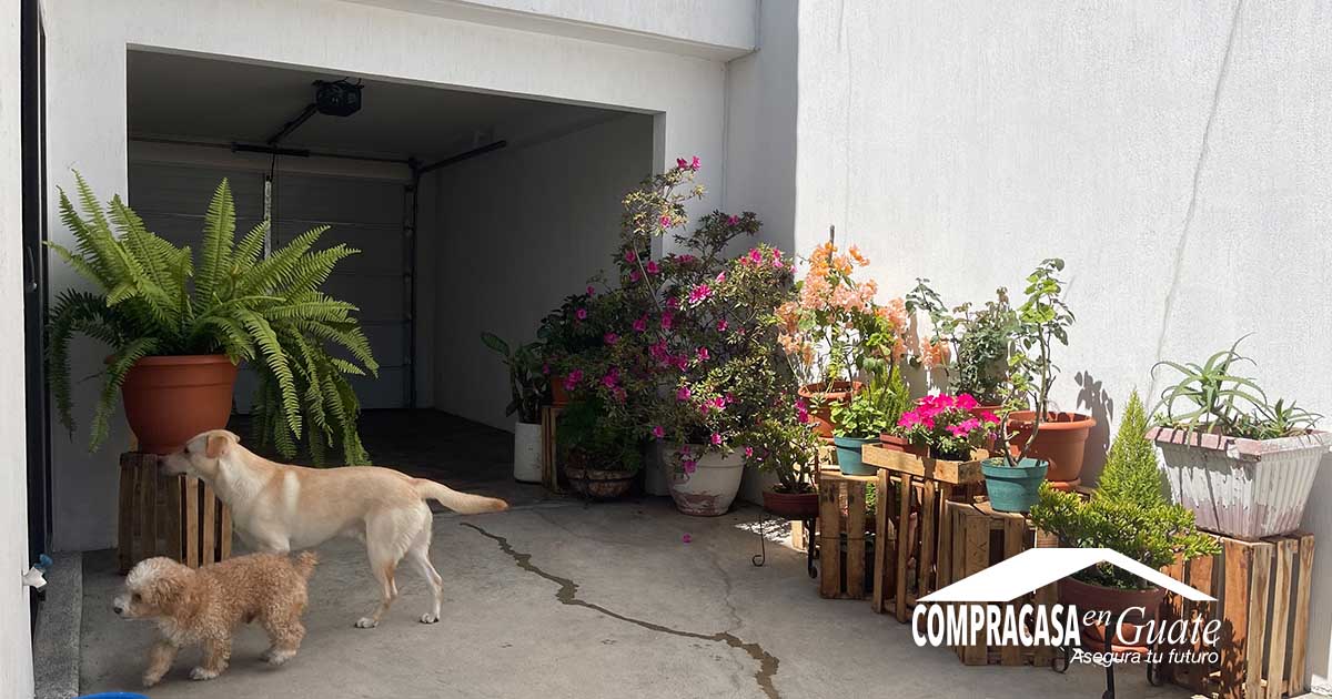 Venta de Casa o Casas, Terrenos, Propiedades, Apartamentos, Inmuebles en Guatemala, zona 11, zona 7, zona 2, zona 18, zona 16, Mixco, Carretera Al Salvador, Fraijanes, Santa Catarina Pinula, Antigua Guatemala, Villa Nueva, Villa Canales, San Miguel Petapa - Venta o Alquiler de Casas En Guatemala