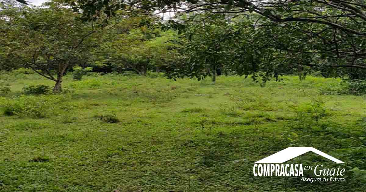 Venta de Casa o Casas, Terrenos, Propiedades, Apartamentos, Inmuebles en Guatemala, zona 11, zona 7, zona 2, zona 18, zona 16, Mixco, Carretera Al Salvador, Fraijanes, Santa Catarina Pinula, Antigua Guatemala, Villa Nueva, Villa Canales, San Miguel Petapa - Venta o Alquiler de Casas En Guatemala