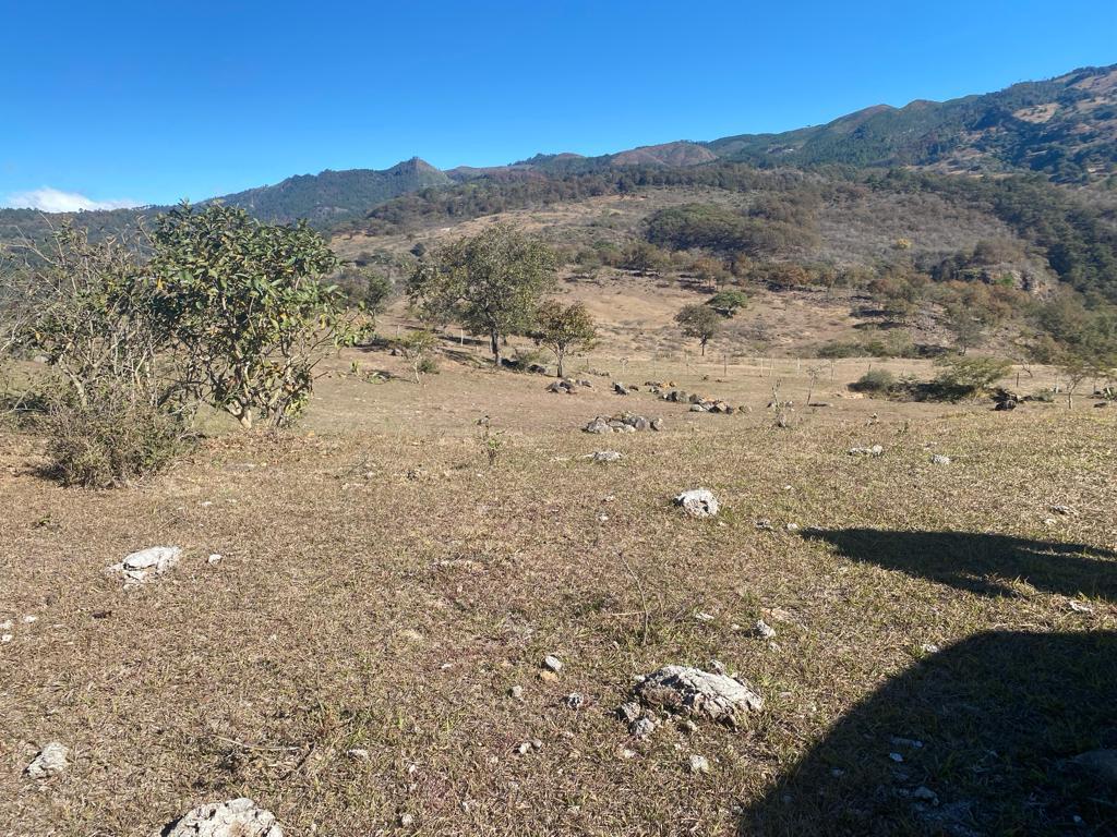 Venta de Casa o Casas, Terrenos, Propiedades, Apartamentos, Inmuebles en Guatemala, zona 11, zona 7, zona 2, zona 18, zona 16, Mixco, Carretera Al Salvador, Fraijanes, Santa Catarina Pinula, Antigua Guatemala, Villa Nueva, Villa Canales, San Miguel Petapa - Venta o Alquiler de Casas En Guatemala