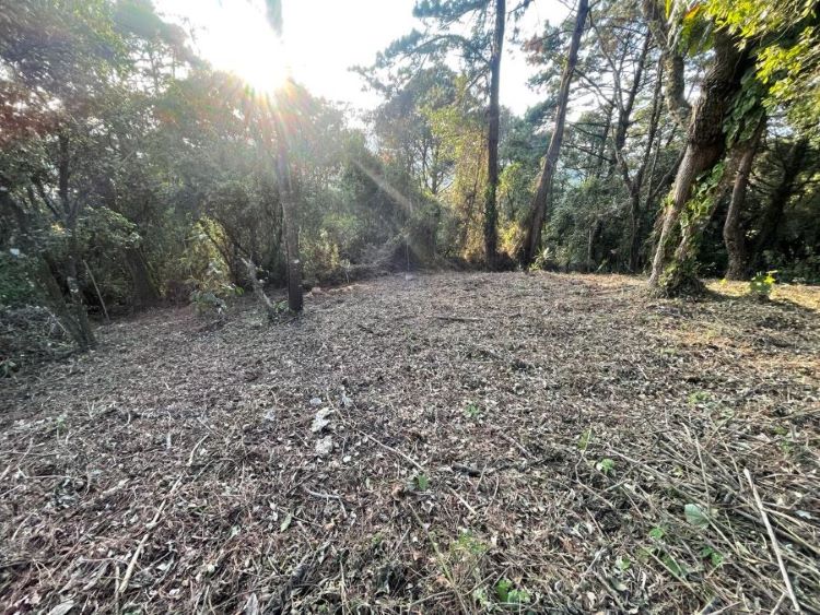 Venta de Casa o Casas, Terrenos, Propiedades, Apartamentos, Inmuebles en Guatemala, zona 11, zona 7, zona 2, zona 18, zona 16, Mixco, Carretera Al Salvador, Fraijanes, Santa Catarina Pinula, Antigua Guatemala, Villa Nueva, Villa Canales, San Miguel Petapa - Venta o Alquiler de Casas En Guatemala
