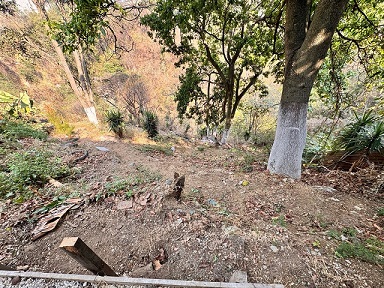 Venta de Casa o Casas, Terrenos, Propiedades, Apartamentos, Inmuebles en Guatemala, zona 11, zona 7, zona 2, zona 18, zona 16, Mixco, Carretera Al Salvador, Fraijanes, Santa Catarina Pinula, Antigua Guatemala, Villa Nueva, Villa Canales, San Miguel Petapa - Venta o Alquiler de Casas En Guatemala