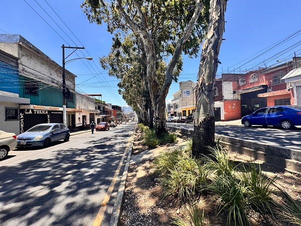 Venta de Casa o Casas, Terrenos, Propiedades, Apartamentos, Inmuebles en Guatemala, zona 11, zona 7, zona 2, zona 18, zona 16, Mixco, Carretera Al Salvador, Fraijanes, Santa Catarina Pinula, Antigua Guatemala, Villa Nueva, Villa Canales, San Miguel Petapa - Venta o Alquiler de Casas En Guatemala