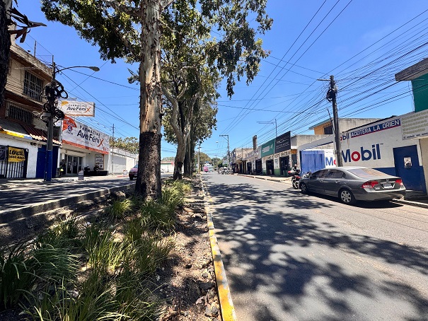 Venta de Casa o Casas, Terrenos, Propiedades, Apartamentos, Inmuebles en Guatemala, zona 11, zona 7, zona 2, zona 18, zona 16, Mixco, Carretera Al Salvador, Fraijanes, Santa Catarina Pinula, Antigua Guatemala, Villa Nueva, Villa Canales, San Miguel Petapa - Venta o Alquiler de Casas En Guatemala