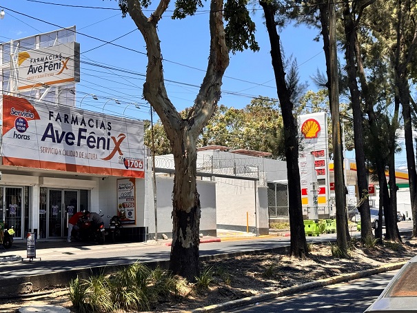 Venta de Casa o Casas, Terrenos, Propiedades, Apartamentos, Inmuebles en Guatemala, zona 11, zona 7, zona 2, zona 18, zona 16, Mixco, Carretera Al Salvador, Fraijanes, Santa Catarina Pinula, Antigua Guatemala, Villa Nueva, Villa Canales, San Miguel Petapa - Venta o Alquiler de Casas En Guatemala