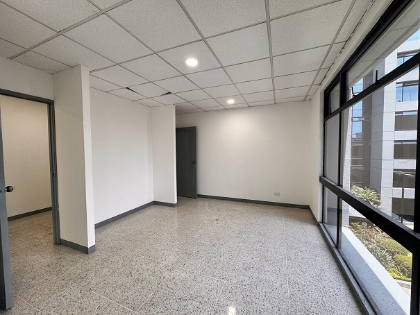 Venta de Casa o Casas, Terrenos, Propiedades, Apartamentos, Inmuebles en Guatemala, zona 11, zona 7, zona 2, zona 18, zona 16, Mixco, Carretera Al Salvador, Fraijanes, Santa Catarina Pinula, Antigua Guatemala, Villa Nueva, Villa Canales, San Miguel Petapa - Venta o Alquiler de Casas En Guatemala