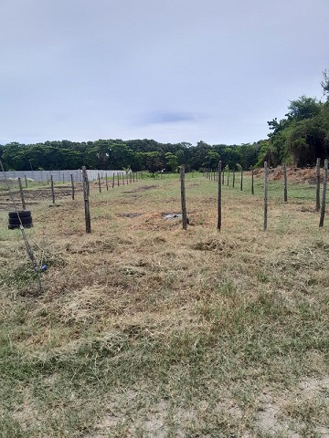 Venta de Casa o Casas, Terrenos, Propiedades, Apartamentos, Inmuebles en Guatemala, zona 11, zona 7, zona 2, zona 18, zona 16, Mixco, Carretera Al Salvador, Fraijanes, Santa Catarina Pinula, Antigua Guatemala, Villa Nueva, Villa Canales, San Miguel Petapa - Venta o Alquiler de Casas En Guatemala