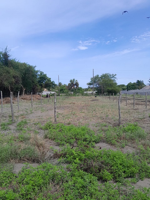 Venta de Casa o Casas, Terrenos, Propiedades, Apartamentos, Inmuebles en Guatemala, zona 11, zona 7, zona 2, zona 18, zona 16, Mixco, Carretera Al Salvador, Fraijanes, Santa Catarina Pinula, Antigua Guatemala, Villa Nueva, Villa Canales, San Miguel Petapa - Venta o Alquiler de Casas En Guatemala