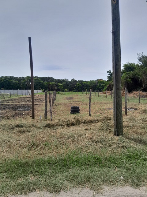 Venta de Casa o Casas, Terrenos, Propiedades, Apartamentos, Inmuebles en Guatemala, zona 11, zona 7, zona 2, zona 18, zona 16, Mixco, Carretera Al Salvador, Fraijanes, Santa Catarina Pinula, Antigua Guatemala, Villa Nueva, Villa Canales, San Miguel Petapa - Venta o Alquiler de Casas En Guatemala