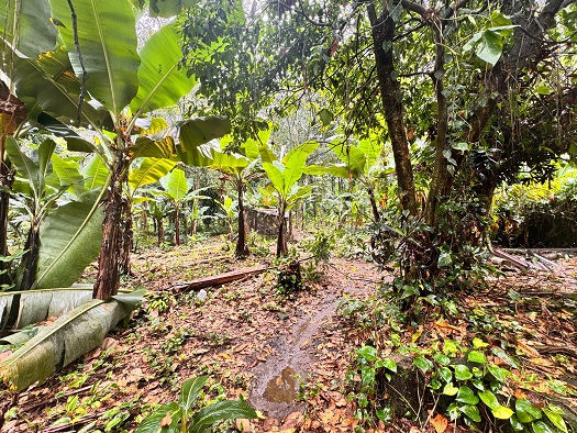 Venta de Casa o Casas, Terrenos, Propiedades, Apartamentos, Inmuebles en Guatemala, zona 11, zona 7, zona 2, zona 18, zona 16, Mixco, Carretera Al Salvador, Fraijanes, Santa Catarina Pinula, Antigua Guatemala, Villa Nueva, Villa Canales, San Miguel Petapa - Venta o Alquiler de Casas En Guatemala