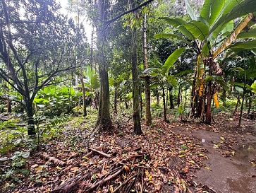 Venta de Casa o Casas, Terrenos, Propiedades, Apartamentos, Inmuebles en Guatemala, zona 11, zona 7, zona 2, zona 18, zona 16, Mixco, Carretera Al Salvador, Fraijanes, Santa Catarina Pinula, Antigua Guatemala, Villa Nueva, Villa Canales, San Miguel Petapa - Venta o Alquiler de Casas En Guatemala