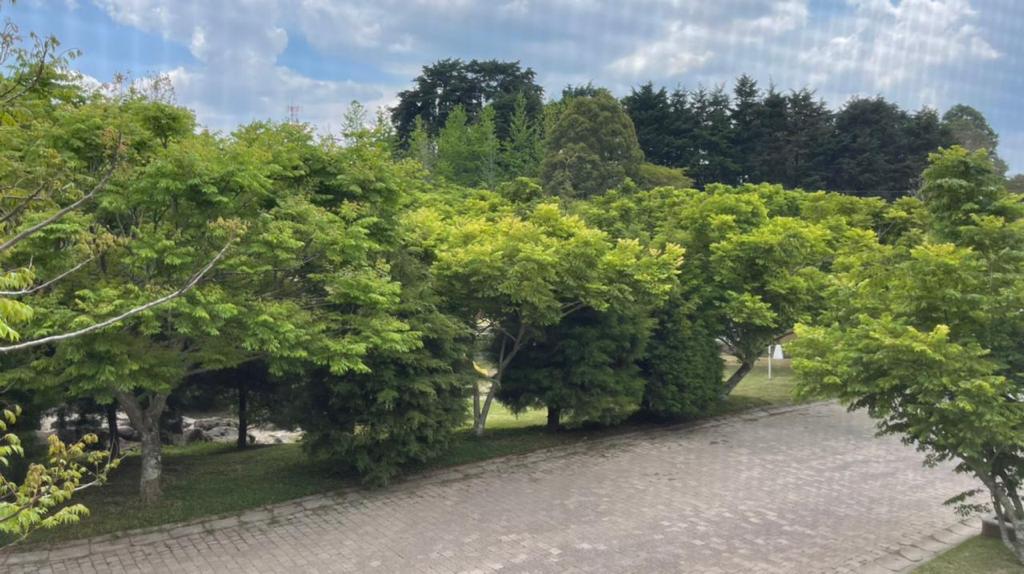 Venta de Casa o Casas, Terrenos, Propiedades, Apartamentos, Inmuebles en Guatemala, zona 11, zona 7, zona 2, zona 18, zona 16, Mixco, Carretera Al Salvador, Fraijanes, Santa Catarina Pinula, Antigua Guatemala, Villa Nueva, Villa Canales, San Miguel Petapa - Venta o Alquiler de Casas En Guatemala