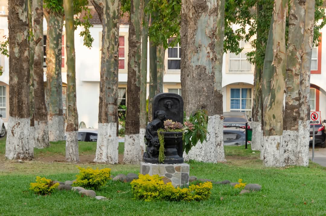 Venta de Casa o Casas, Terrenos, Propiedades, Apartamentos, Inmuebles en Guatemala, zona 11, zona 7, zona 2, zona 18, zona 16, Mixco, Carretera Al Salvador, Fraijanes, Santa Catarina Pinula, Antigua Guatemala, Villa Nueva, Villa Canales, San Miguel Petapa - Venta o Alquiler de Casas En Guatemala