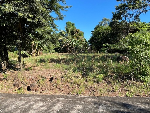 Venta de Casa o Casas, Terrenos, Propiedades, Apartamentos, Inmuebles en Guatemala, zona 11, zona 7, zona 2, zona 18, zona 16, Mixco, Carretera Al Salvador, Fraijanes, Santa Catarina Pinula, Antigua Guatemala, Villa Nueva, Villa Canales, San Miguel Petapa - Venta o Alquiler de Casas En Guatemala