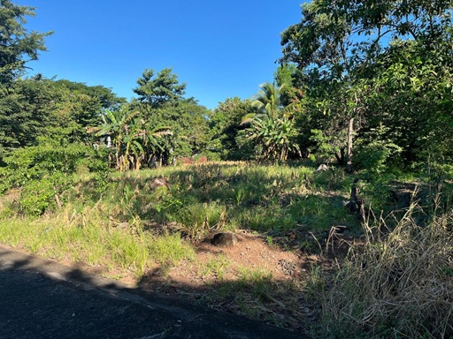 Venta de Casa o Casas, Terrenos, Propiedades, Apartamentos, Inmuebles en Guatemala, zona 11, zona 7, zona 2, zona 18, zona 16, Mixco, Carretera Al Salvador, Fraijanes, Santa Catarina Pinula, Antigua Guatemala, Villa Nueva, Villa Canales, San Miguel Petapa - Venta o Alquiler de Casas En Guatemala