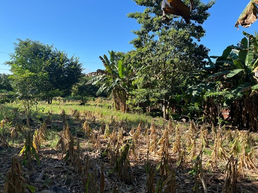 Venta de Casa o Casas, Terrenos, Propiedades, Apartamentos, Inmuebles en Guatemala, zona 11, zona 7, zona 2, zona 18, zona 16, Mixco, Carretera Al Salvador, Fraijanes, Santa Catarina Pinula, Antigua Guatemala, Villa Nueva, Villa Canales, San Miguel Petapa - Venta o Alquiler de Casas En Guatemala