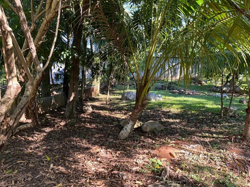 Venta de Casa o Casas, Terrenos, Propiedades, Apartamentos, Inmuebles en Guatemala, zona 11, zona 7, zona 2, zona 18, zona 16, Mixco, Carretera Al Salvador, Fraijanes, Santa Catarina Pinula, Antigua Guatemala, Villa Nueva, Villa Canales, San Miguel Petapa - Venta o Alquiler de Casas En Guatemala