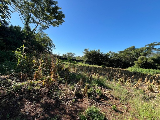 Venta de Casa o Casas, Terrenos, Propiedades, Apartamentos, Inmuebles en Guatemala, zona 11, zona 7, zona 2, zona 18, zona 16, Mixco, Carretera Al Salvador, Fraijanes, Santa Catarina Pinula, Antigua Guatemala, Villa Nueva, Villa Canales, San Miguel Petapa - Venta o Alquiler de Casas En Guatemala